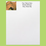 Foal Personalized Letterhead