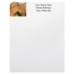 Foal Personalized Letterhead