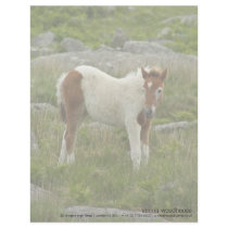 Foal Letterhead Design