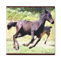 Foal Magnet by RookyStudios Foal Magnet
