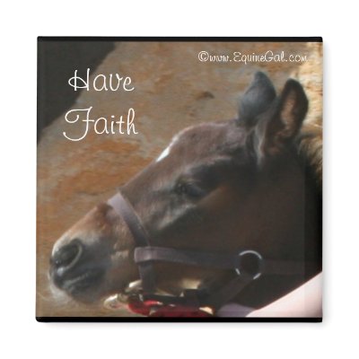 Foal Magnet by EquineGal