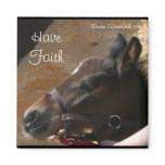 Foal Magnet