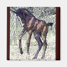 Foal magnet 2