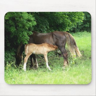 Foal Mousepad mousepad