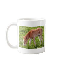 Foal mugs