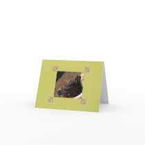Foal Note Card