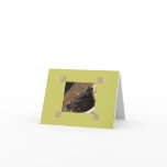 Foal Note Card