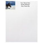 Foal on the Beach Custom Letterhead
