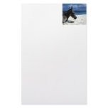 Foal on the Beach Customized Stationery