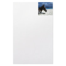 Foal on the Beach Customized Stationery