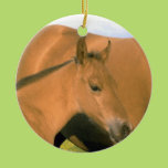 Foal Christmas Ornament