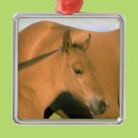 Foal Christmas Tree Ornament