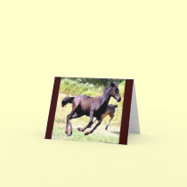 Foal Play Notecards