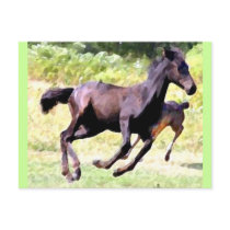 Foal Play Postcards