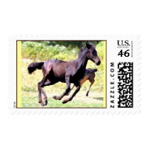 Foal Play Stamps