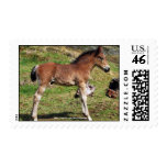 foal postage