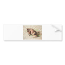 Foal Relaxing bumper stickers
