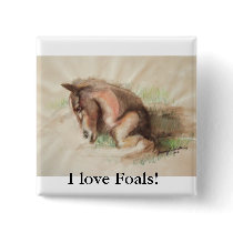 Foal Relaxing buttons