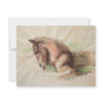Foal Relaxing Personalized Announcements