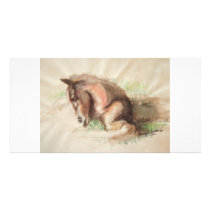 Foal Relaxing Customized Photo Card