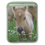 Foal Smelling Daisies iPad Sleeve