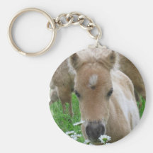 Foal Smelling Daisies Keychain