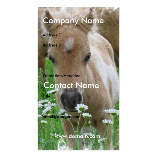 Foal Smelling Daisies on Business Card