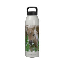 Foal Smelling Daisies Water Bottle