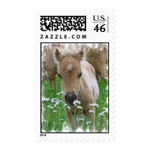 Foal Smelling Flowers Postage Stamp