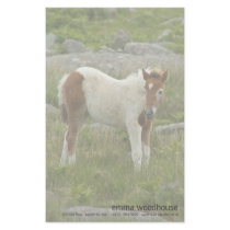 Foal Stationery Design