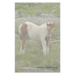 Foal stationery