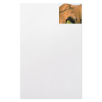 Foal Customized Stationery