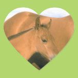 Foal Sticker