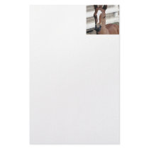 Foal with Blaze Stationery Paper