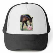 Foal with Pink Hat