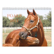 FOALS 2011 CALENDARS