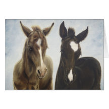 Foals Blank Card