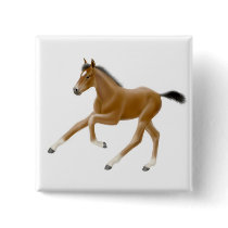 Foals buttons