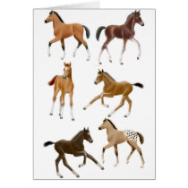 Foals Card