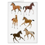 Foals cards