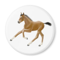 Foals magnets by twopurringcats Foals magnets
