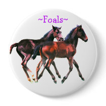 Foals Playing Pin Button