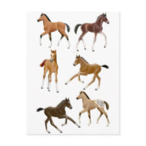 Foals postcards by twopurringcats Foals postcards