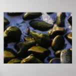Foam Surrounds Red Rocks Print
