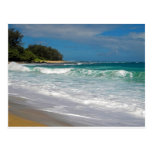 Foamy Surf Postcard