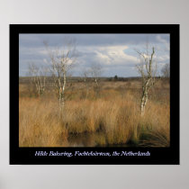 Fochteloërveen Poster