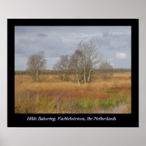 Fochteloërveen Posters