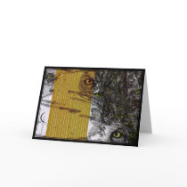 Focus cards by MoiraAshleigh Focus cards