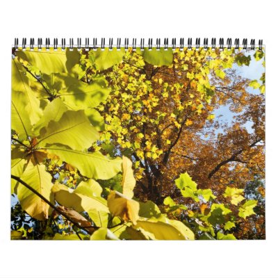 Focus Firm 2012 Nature Calendar