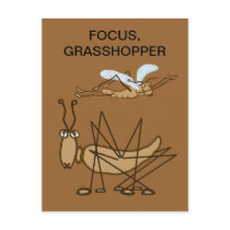 FOCUS GRASSHOPPER POST CARDS